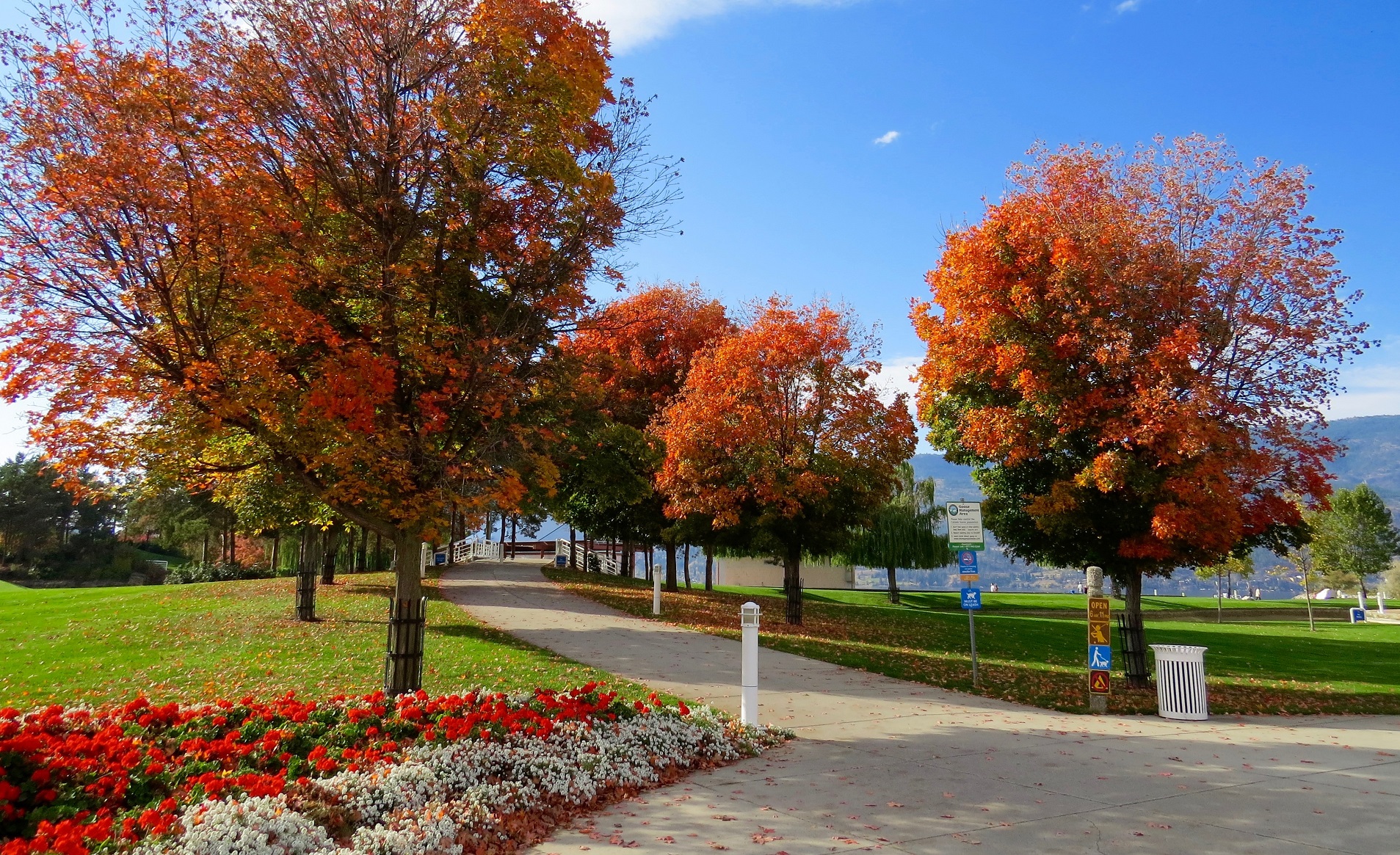 Irrigation Services in Manteca