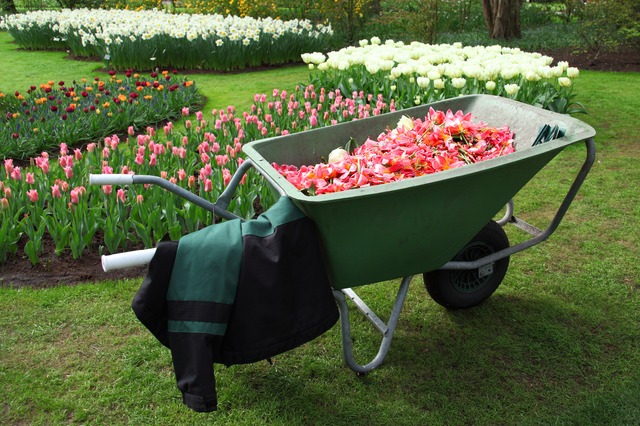 Wheel barrow